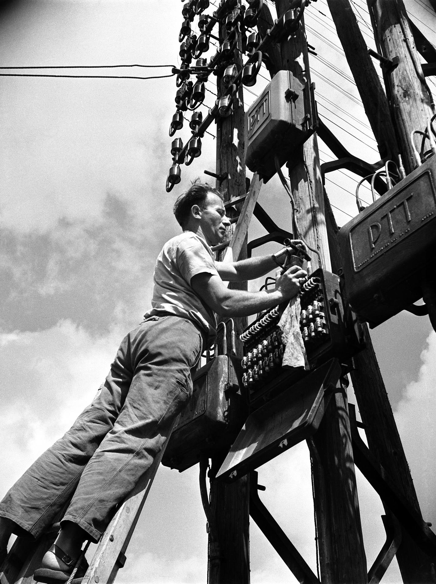 1954.01Ref021757Num110061