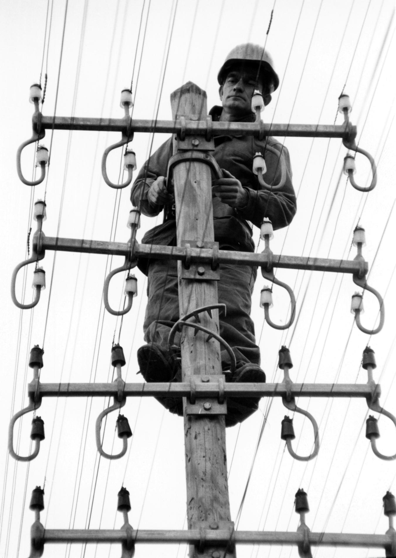 1969LignardSurPoteauBoisGriffes